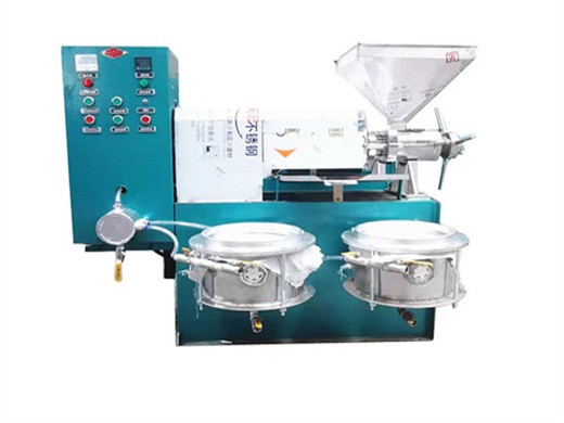 6yl 105 4 prix usine machine d’extraction d’huile d’arachide vue au Gabon