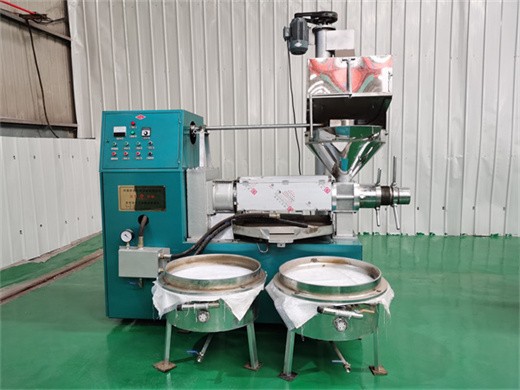 Machine automatique professionnelle d’extraction d’huile de germe de maïs, usine chinoise
