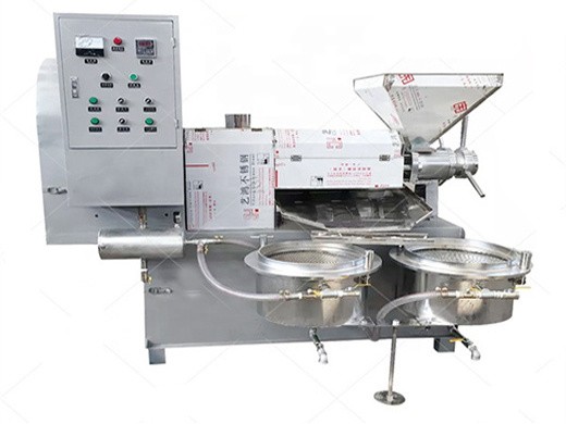 Machine à huile de lin de presse à huile de grande taille de marque au Cameroun
