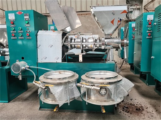 Machines d’usine d’huile de coton pressée à froid au Cameroun