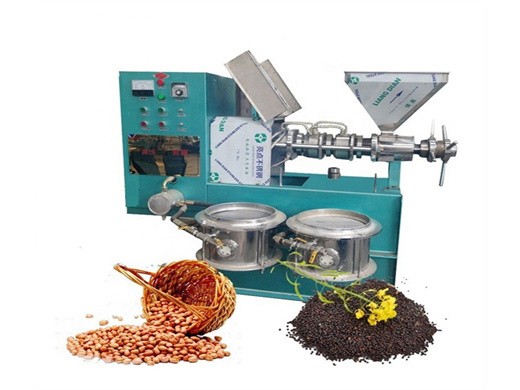 Presse à huile de canola et d’arachide jw40 avec un rendement de 25 kg/h au Maroc