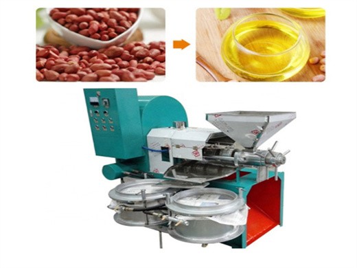 Machine de traitement de l’huile de tournesol, équipement d’extraction d’huile au Sénégal