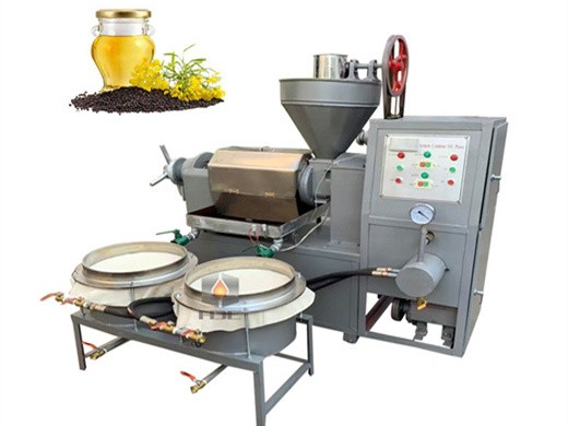 Prix d’usine meilleure qualité petites machines d’extraction d’huile de noix de coco
