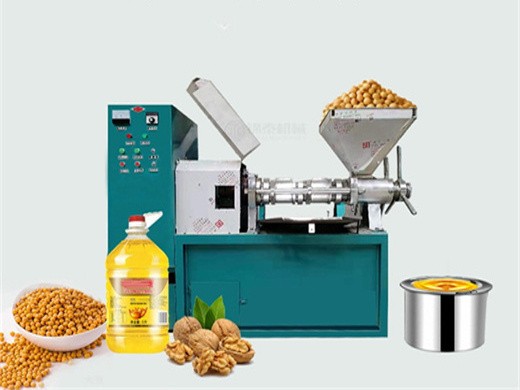 Machine à huile d’arachide commerciale à vis automatique, fabricant 6yl 70