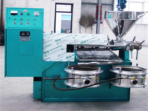 Machine de presse à huile de tournesol approuvée CE machine de presse à huile automatique