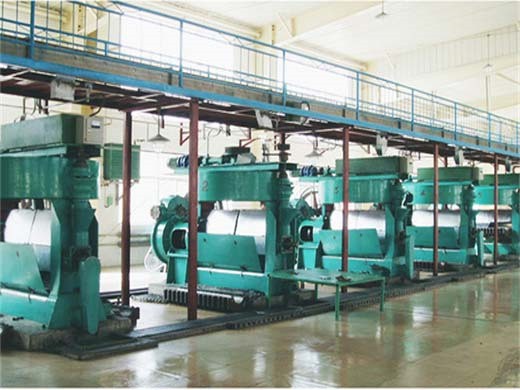 Machine d’extraction d’huile de tournesol en acier inoxydable de qualité 304, au Togo