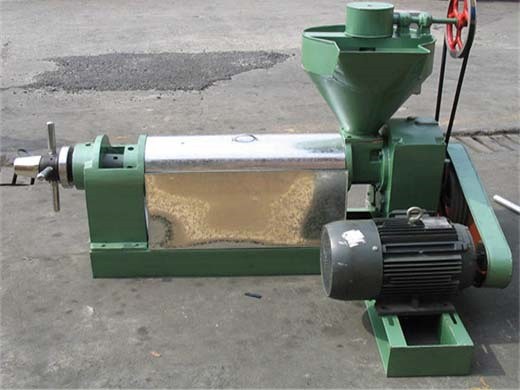 Nouvelle machine d’extraction d’huile de ricin gzc13s2q la plus vendue pour la Côte d’Ivoire