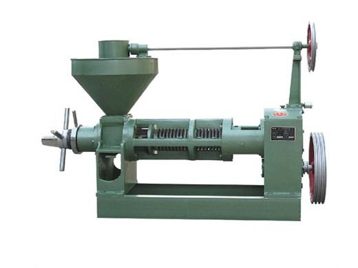 Machine à huile d’arachide de graine de colza de son de riz d’arachide de plante de 6yl 80