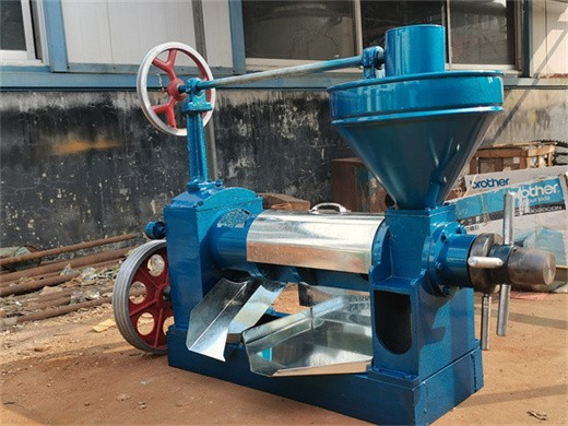 Machine à huile de presse à froid économiseuse d’énergie de graine de coton vue machine à huile