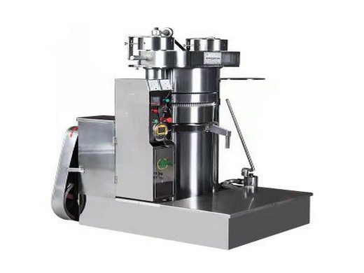 Petite machine automatique d’extraction d’huile de graines de noix de coco en acier inoxydable
