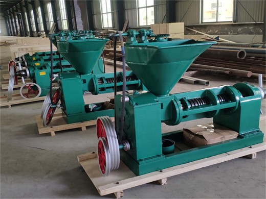 Machine de traitement d’huile d’arachide, machine d’extraction d’huile de tournesol
