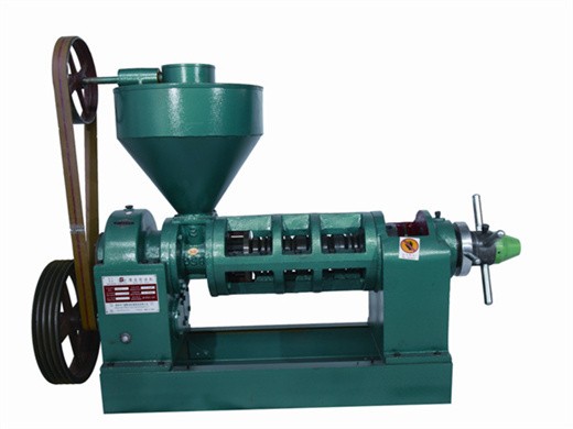 Machine d’extraction d’huile de noix et de graines en acier inoxydable hj p06 au Togo