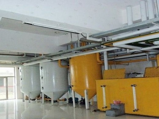 Moulin à huile de graines de coton, nouveau type, presse à froid, machine à huile au Togo
