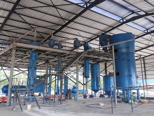 machine d’extraction d’huile de tournesol par Kirdi au Cameroun