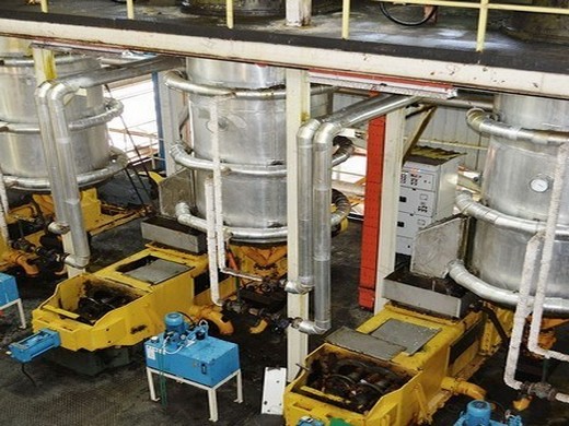 Presse à huile de presse à froid de machine d’huile de graine de 300kgs avec long au Costa Rica