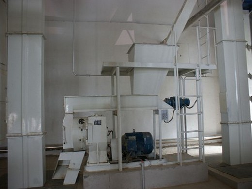 Machine d’extraction d’huile de sésame à grande vitesse