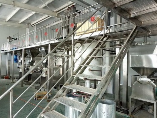 machine de production d’huile végétale à haut rendement pour machine à huile végétale