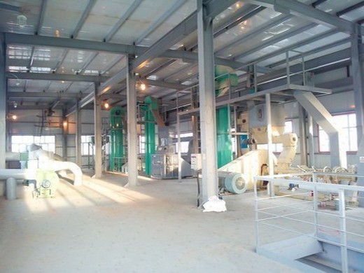 Expulseur d’huile végétale de moulins à huile de lin de sortie de 20 kg/h
