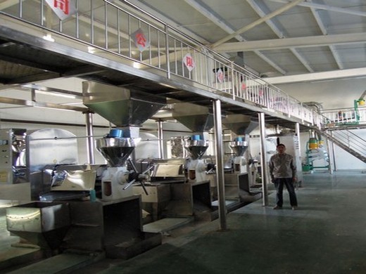 Machine d’extraction d’huile de graines de figue de Barbarie, haute efficacité, graines de coton