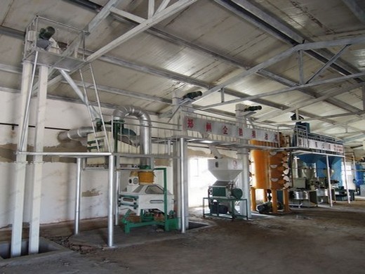Machine d’extraction d’huile de sésame, petite usine, fabrication d’huile au Gabon