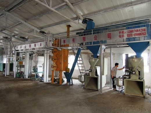 Machine de traitement d’huile de coton à grande vis de traitement des grains de Chine