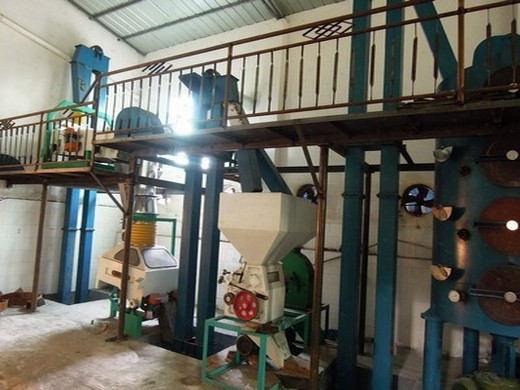 extraction d’huile d’arachide en gros au Cameroun