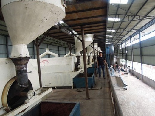 Shuliy – petite presse à huile hydraulique à grande vitesse, machine à huile au Gabon