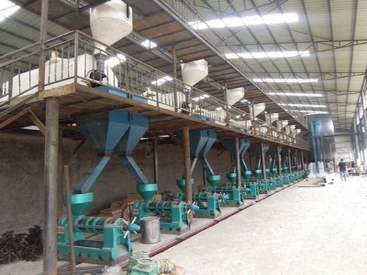 Moulin à huile électrique de noix de karité 8 180 tpd en provenance expulseur d’huile végétale