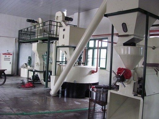 Presse à huile hydraulique de sésame, presse à huile de cajou au Cameroun