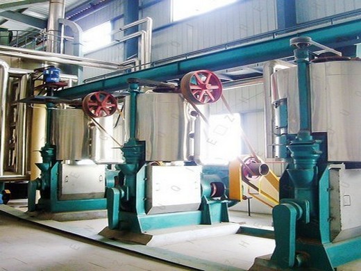 Machine d’extraction d’huile de germe de maïs à haut rendement 2023 en France