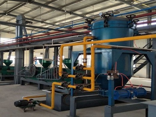 Machine de presse hydraulique d’extraction d’huile de graine à haut rendement, avocat