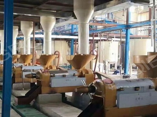 Presse à huile froide de vente chaude au Cameroun