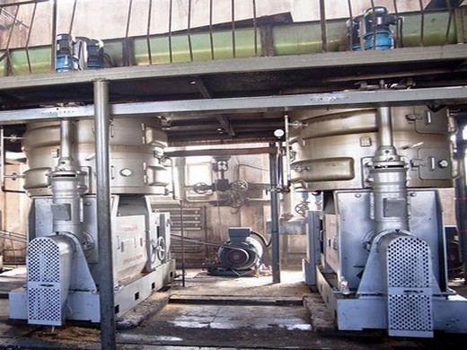 machine de moulin à huile à haut rendement au Cameroun