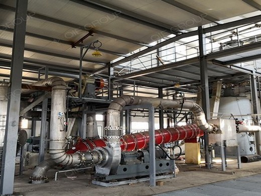 Machine à huile de pépins de raisin en acier inoxydable, machine à huile au Congo, démocratie