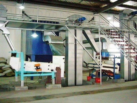 Machine d’extraction d’huile de soja, ferme de ricin, moulin à huile, équipement de presse à huile