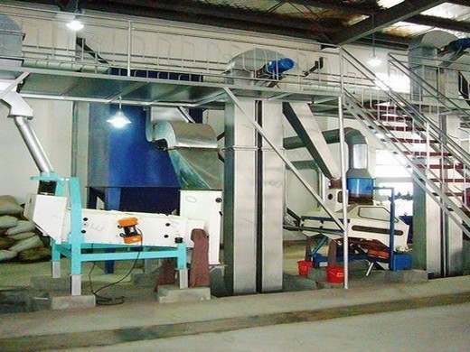 bonne presse hydraulique d’extraction d’huile de graines au Gabon