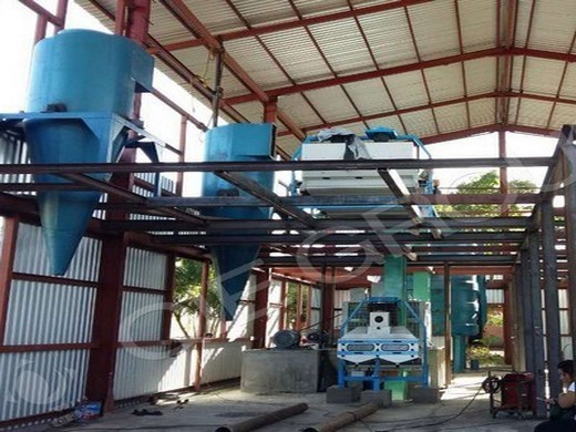 Expulseur automatique d’huile d’arachide Gopal, capacité de 60 à 100 tonnes par jour au Gabon
