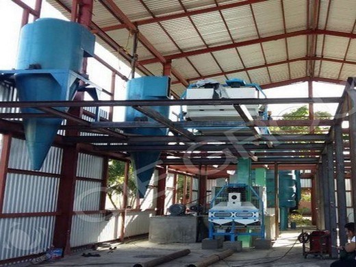 Presse à huile hydraulique automatique pour graines de sésame et arachide
