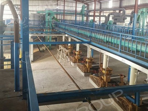 Petit équipement de presse à huile d’arachide froid standard allemand au Togo