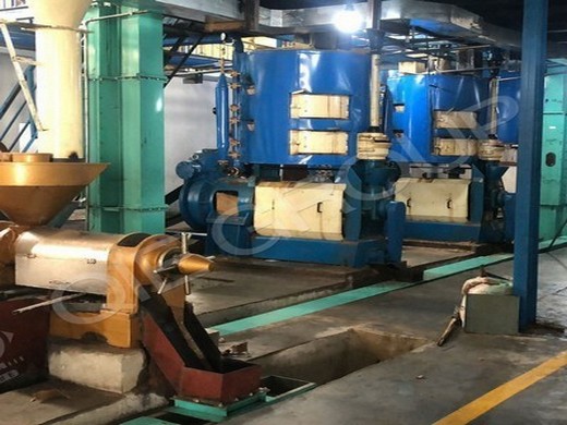 machine d’extraction d’huile de canola à haute efficacité au Costa Rica