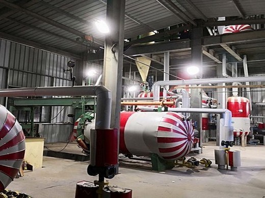 Machine de presse à huile de graines de conception avancée en acier inoxydable au Burundi