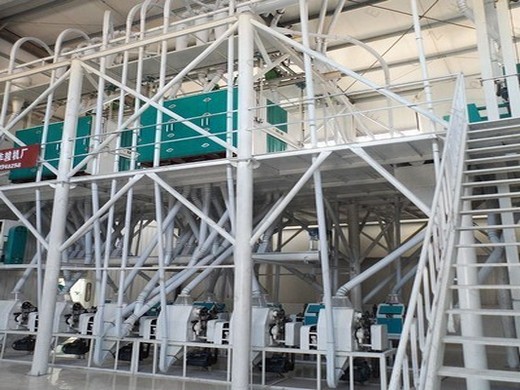 Nouvelles usines de conception Rajkot minuscule prix des machines de moulin à huile