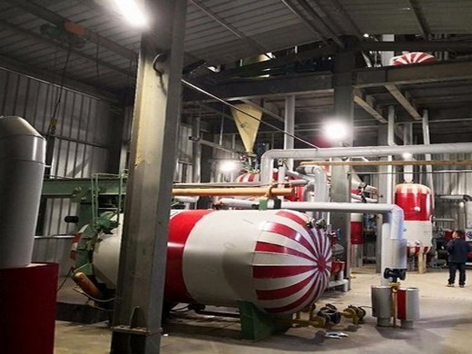 Presse à huile d’arachide froide, haute efficacité, machine d’extraction d’huile de germe de maïs