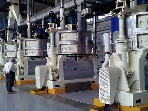 Machine de presse à froid d’huile de sésame de moulin à huile de vente chaude au Maroc