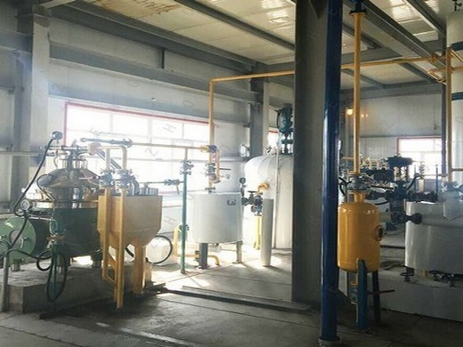 Nouvelle machine d’extraction d’huile de presse à huile de sésame de grande capacité 25 30t