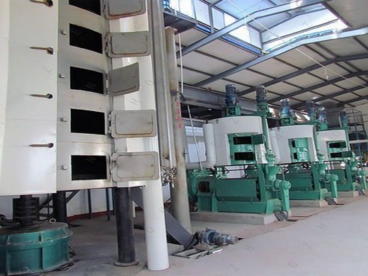 petites machines de moulin à huile de noix de coco à haut rendement au Gabon