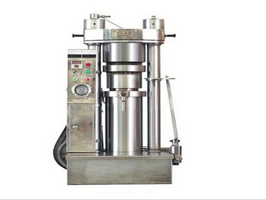 Machine d’extraction d’huile de gingembre presse à huile en acier fabrication d’huile de tournesol