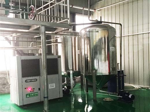 Extracteur automatique de presse de moulin à huile à vis au Togo