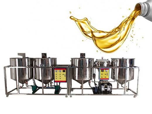 Machine d’extraction d’huile de pépins de raisin à pression froide 6yz 260