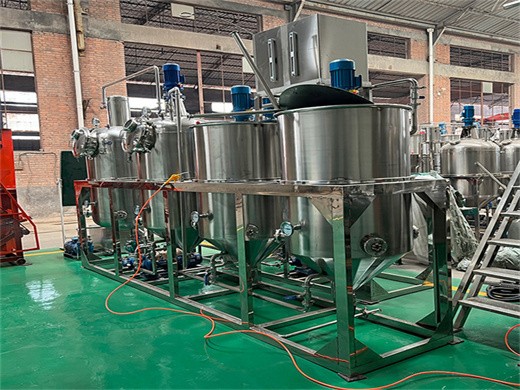 Moulin à huile d’arachide standard automatique pour tournesol au Costa Rica